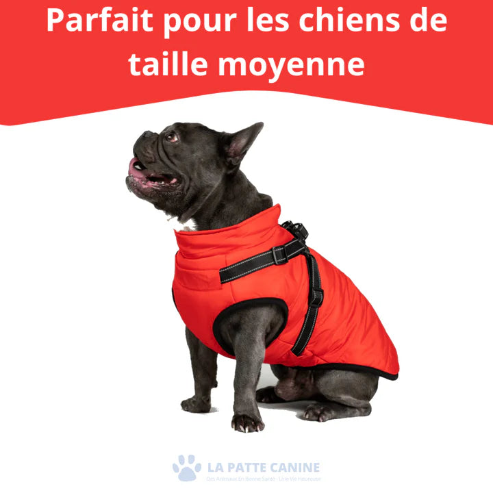 Veste d'hiver 3 en 1  pour Chiens