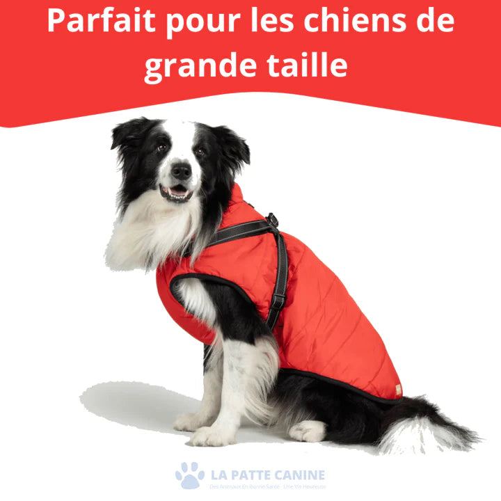 Veste d'hiver 3 en 1  pour Chiens