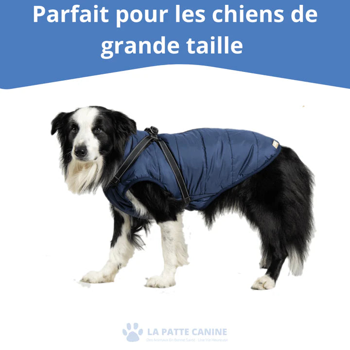 Veste d'hiver 3 en 1  pour Chiens