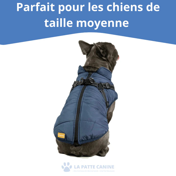 Veste d'hiver 3 en 1  pour Chiens