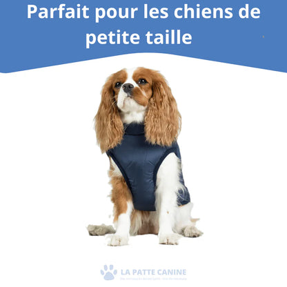 Veste d'hiver 3 en 1  pour Chiens