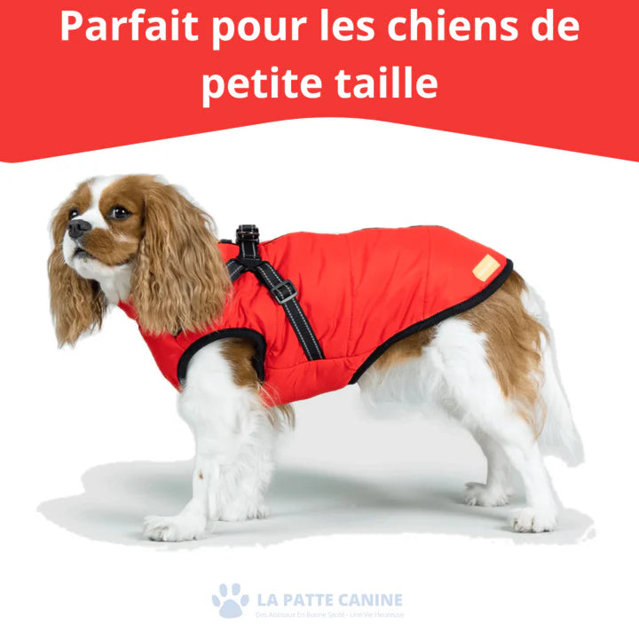 Veste d'hiver 3 en 1  pour Chiens